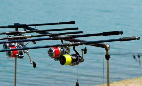 廣西漁具 互聯網浪潮中崛起的后起之秀